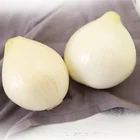 Fresh Chinese Onion Quality fresh yellow onion vegetables new crop for wholes