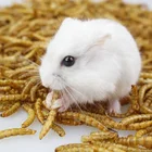 Xin jie biotechnology dried mealworm / dry cat food
