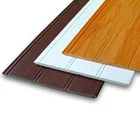 WPC/ Wood Plastic Composites Wall Claddings Wall Panel for Interior Decoration