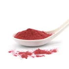 Sciencarin Supply Organic Black Carrot Juice Powder Pigment