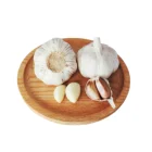 Natural Garlic New Crop Fresh Natural Nomal/pure White Garlic