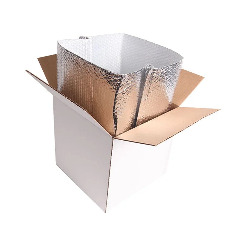 High Quality Aluminum Foil Thermal Insulated Cooler Bags Paper Box For