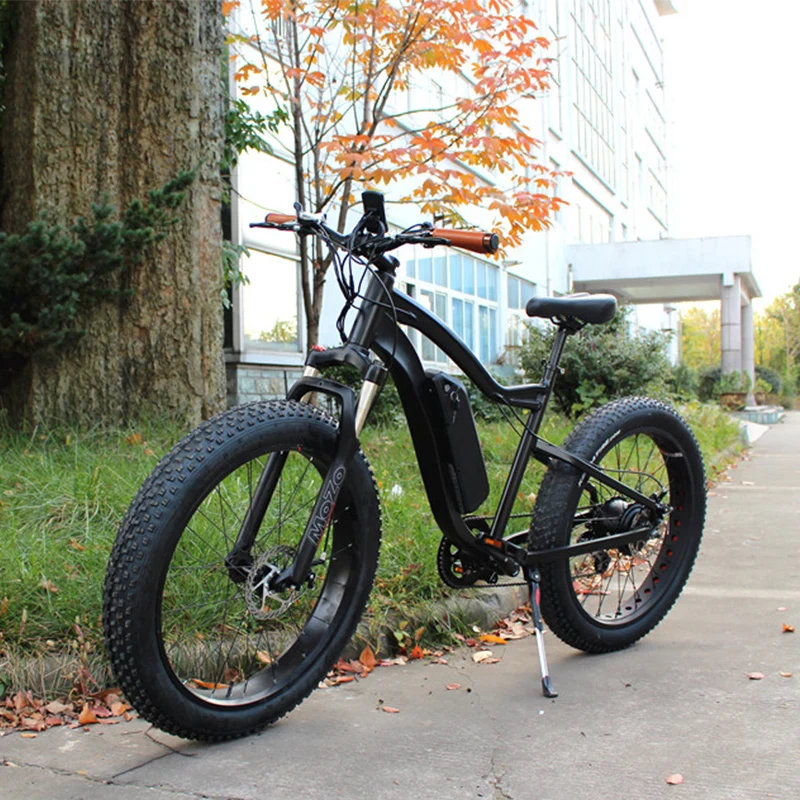 fat tire balance bike