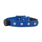 Promotional glow dog collars pet products colorful USB rechargeable LED light dog collar