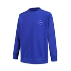 Embroidered Hoodies Printed Logo Pullover Embroidered Organic Cotton Men's Hoodies Fleece