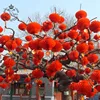6 Inch New Year Christmas Decoration Waterproof Red Chinese Paper Lanterns For Outdoor Hanging Festival Lantern