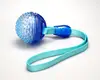 OEM Offered China Manufacturer Soft Squeaky Pet Toys For Dog Ball With Detachable Ribbon