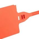 Wire Management ROHS Self-Locking adjustable Nylon Cable Ties