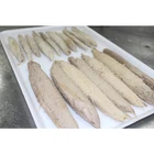 Cheap Price Frozen Auxis Thazard Bonito Tuna Fish Loin Meat
