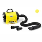 High power adjustable speed low noise dog cat hair dryer grooming pet dryer