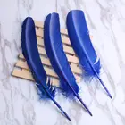 Feather Wing Feather Wholesale Cheap Crafts DIY Decoration Quill Feather Turkey Wing Feather