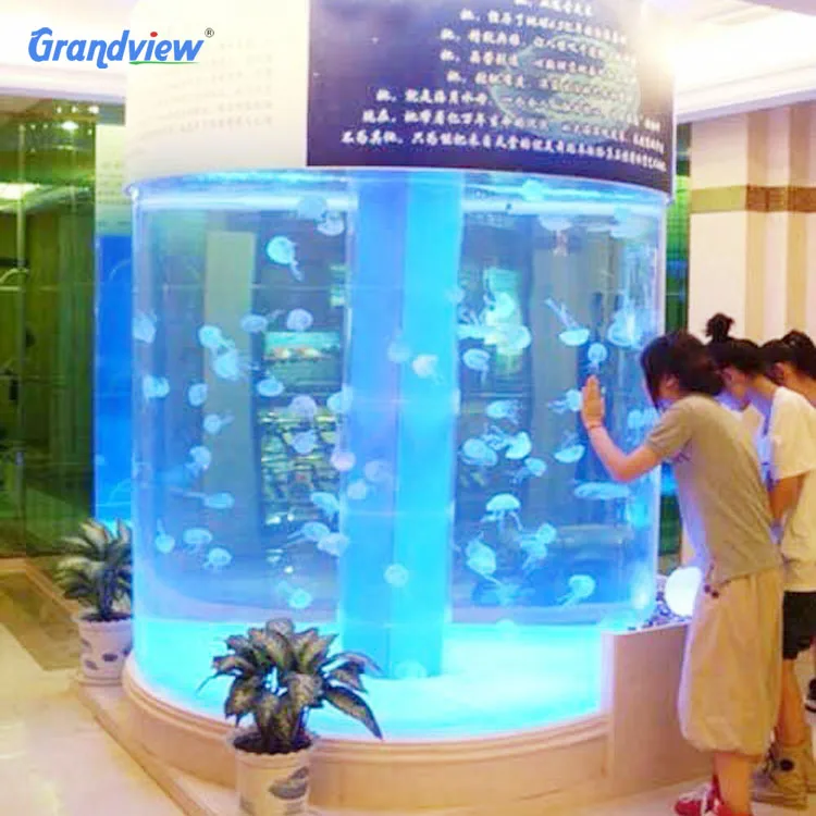 amazing fish tanks