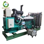 Customized sizes 180KW 225KVA bio gas generator set genset