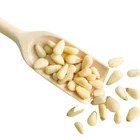 Pine Nuts Pine Kernels Pure Natural Rich Nutrition Chilgoza Pine Pine Nuts Kernel Price