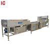 /product-detail/new-design-bubble-fruits-and-vegetable-processing-equipment-fruit-cleaning-machine-62236661061.html