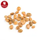 Wholesale natural yellow pebble&cobble stone