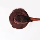 Pure Polyphenols Oligomeric 95% grape seed extract