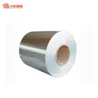304N Prime Quality Hot Rolled Small Thin Stainless Steel Coil Spring