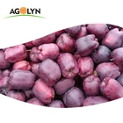 High quality fresh red delicious fruit huaniu apple