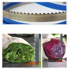 Hardware industry sales champion SK5 band saw blades be used to cut frozen meat/fish