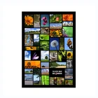 Custom full color coated paper a2 photo poster printing