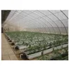 /product-detail/plastic-grow-cubes-fodder-tray-hydroponic-grow-tent-62287603752.html
