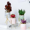 Cute Bulk Succulent Table Stand Indoor Cheap Artificial Gold Small Wholesale Cactus Plant & Planters Mini Ceramic Flower Pots