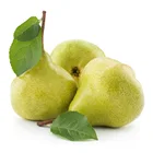 Bulk sale fresh carstal ya pear organic fruit