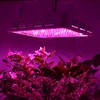/product-detail/indoor-led-grow-light-1200w-1000w-800w-led-plant-growth-lamp-62404731191.html