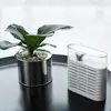 new cabinet dehumidifier plant rechargeable reuse fasion elegant natural plant dehumidifier