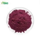 100% Blueberry powder Blueberry Juice Powder
