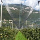 Graphic Customization Pe Mesh Polyethylene PE Anti-hail Net Agriculture Mesh Net Plant Netting