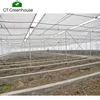 /product-detail/good-quality-industrial-greenhouse-film-62398553254.html