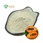 Papaya leaf powder dry green papaya fruit juice powder papaya seed extract powder