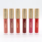 Cosmetic Wholesale OEM Custom Logo Waterproof Lipgloss Make Your Own Private Label Lip Gloss