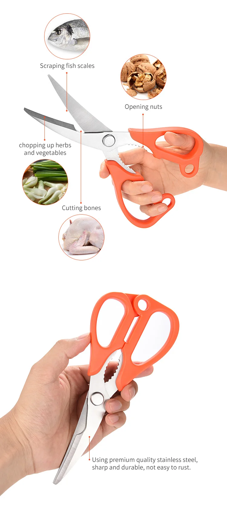 Multipurpose Razor Sharp Stainless Steel Blade Utility Kitchen Shears For Herb Chicken Meat