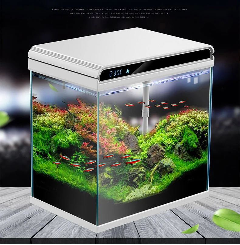 HE-300 aquarium tank 3.jpg