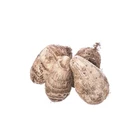 Taro Taro New Crop Natural Vegetation Big Fresh Delicious Taro For Sale
