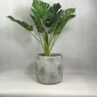 The Unique European-style Concrete Flowerpot Garden Decorates The Plant Pot