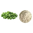 Non-GMO Bulk Organic Isolated Pea Protein Powder 80% 85%