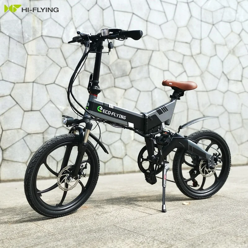 eco electric bike