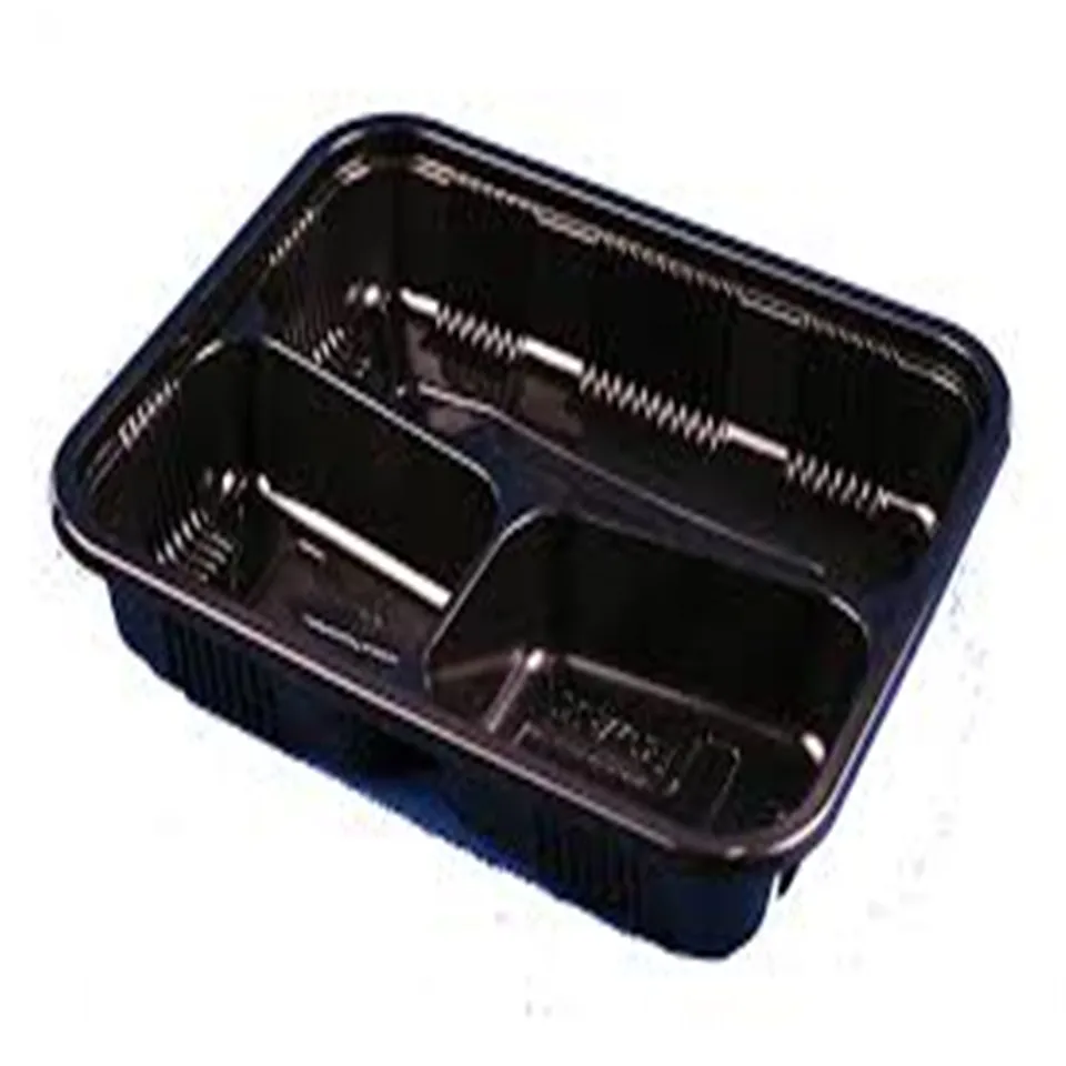 disposable  food container