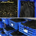 Wholesale Raw Virgin Brazilian Cuticle Aligned Hair Free Sample Mink Bundles Human Vendor