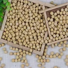Soya Bean High Quality New Crop Non Gmo Soya Bean
