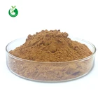 High quality OEM bulk natural grape seed extract