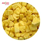 Export IQF Frozen Pineapple Dice