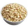 Raw processing type wholesale United Kingdom red pine nut kernels in bulk