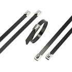 UV-resistant plastic PVC coated metallic buckle stainless steel cable tie