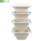 Easy Green Hot Eco-friendly Disposable Bagasse Dinnerware