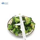 Iqf Frozen Frozeniqf 2 - 4cm 3 - 5cm 4 - 6 Cm IQF Frozen Broccoli Cut